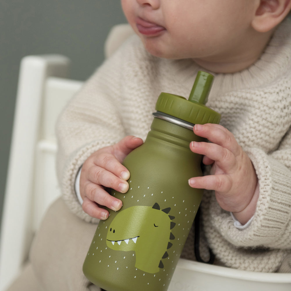 ボトル350ml - Mr. Dino