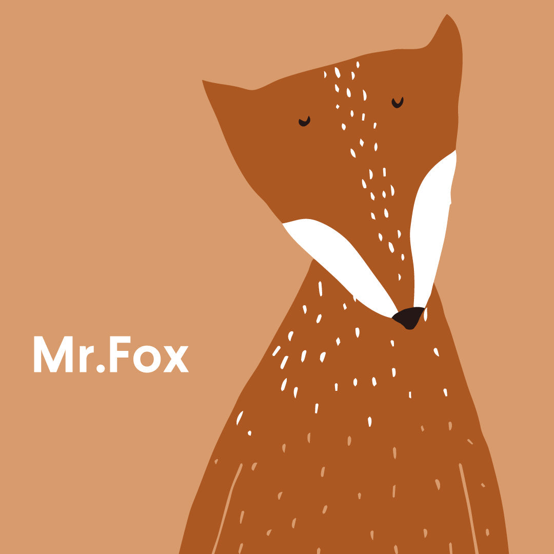 Mr. Fox